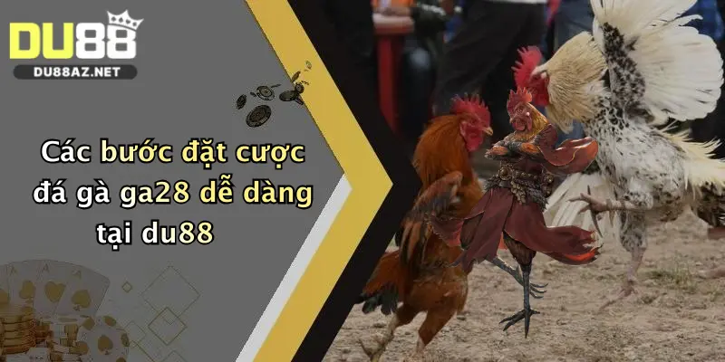 Các bước đặt cược đá gà ga28 dễ dàng tại du88