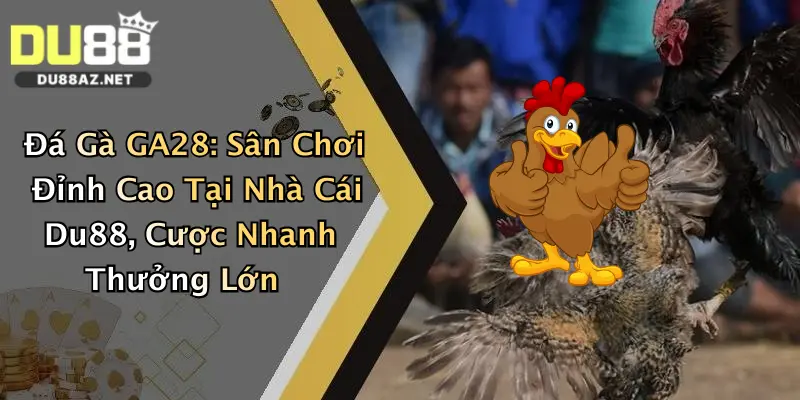 Đá Gà GA28: Sân Chơi Đỉnh Cao Tại Nhà Cái Du88, Cược Nhanh Thưởng Lớn
