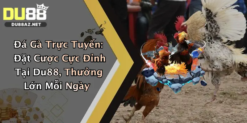 Đá Gà Trực Tuyến: Đặt Cược Cực Đỉnh Tại Du88, Thưởng Lớn Mỗi Ngày