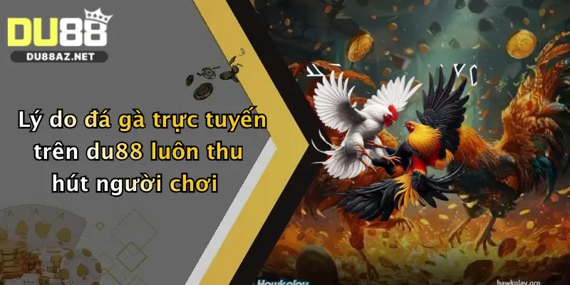 Lý do đá gà trực tuyến trên du88 luôn thu hút người chơi